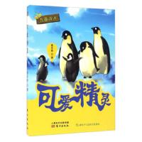钢琴小精灵注音版国际大奖小说系列文学小学生课外阅读书籍6-12周岁故事书儿童班主任推荐三四五六年级课外书正版 邮