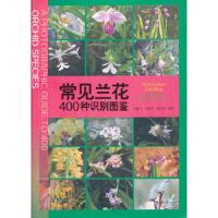 正版   常见兰花400种识别图鉴 吴棣飞 兰花图鉴基础知识 科普百科书籍 种类分类 园艺栽培 兰科植物 自然科学 