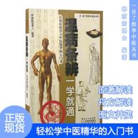 林政宏 温病条辨一学就通正版 一目了然学中医丛书中医基础理论入书 中医中药学习零基础初学者 中医四大名著黄帝内经伤