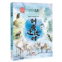 驯鹿迁徒时 岭南生态文学袁博动物小说 注音美绘7-14岁少年儿童注音书籍1-4年级小学生儿童文学学校推荐阅读书 正版