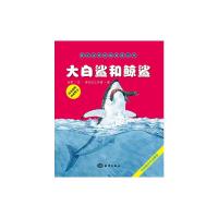 正版 海洋动物探秘故事丛书-大白鲨和鲸鲨 书籍 绘本 海洋动物探秘故事丛书 大白鲨和鲸鲨