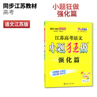 2020新版江苏高考语文小题狂做强化篇苏教版江苏省专用一轮二轮专项训练提优题强化培优提分数小题狂练真题模拟题专练恩波