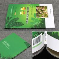 芒果主要病虫害诊断与防治图解杧果精准栽培技术种植芒果树病虫害防治技术大全果树病虫害防管理芒果高效栽培种植技术大全书籍