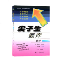 人教版 尖子生题库 数学 9九年级下册 R版 教辅辅导资料  辽宁教育出版社 初中三3年级数学同步教材全解练习题