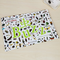 正版 虫-昆虫家族与它们的亲戚 卡罗琳宾海姆著 英国DK出品异形大开本适合亲子阅读的科普图书观赏昆虫鉴赏画册 6-8