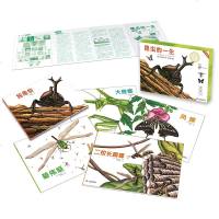 昆虫的一生5册3-6-9岁儿童科普绘本图画书图画版亲亲自然绘本大师得田之久作品福音馆书店典藏书日本昆虫漫画昆虫科