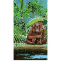 (随书赠3D眼镜) 珍稀物种 童立方3D立体知识百科全书 儿童小学生生科普百科全书 6-9-12岁 一二三四五年级学