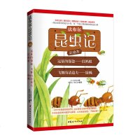 法布尔昆虫记彩绘本 远征的强盗 红蚂蚁 飞舞的清道夫 绿蝇  中国妇女出版社 直营