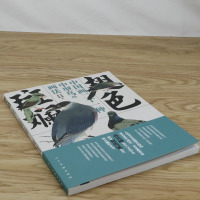[  ]翅色斑斓:中国画21种中型鸟的画法 经典名家国画宋画工笔写意临摹实技花鸟百雀画谱郭子良王雪涛技法图库入书籍
