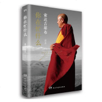 SK你在忙什么 索达吉 影响力遍及全球的佛教大德 苦才是人生作者堪布佛学励志新书 全球百所名校演讲精粹书籍