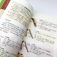 林政宏正版 图解针灸学正统中医针灸治疗学自学入书籍教材针灸穴位图解基本功中医针灸取穴穴位全诠解中医基础理论医学诊断
