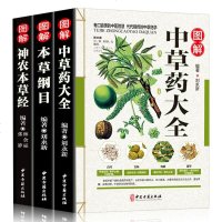 正版全3册 彩图全图全解中草药大全+本草纲目+神农本草经中医入中草药材识别图鉴大全书籍药材植物彩图中药大全书中药医