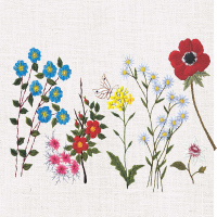 韩风花草绣 50种花与刺绣 廉炅淑著 日式风格刺绣教程 刺绣基础教程 花草植物刺绣技艺 日式手工刺绣指导书 刺绣入