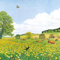 的科普四季时钟系列幼儿版全6册四季科普绘本小学生一二年级课外书必读书目花草地太阳树木蝴蝶大地的四季科普图画书