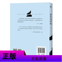 正版 野性的呼唤 杰克伦敦 原著中文全译本 自传体中短篇小说 适合青少年孩子成年人阅读世界名著书籍 野性的呼唤青少年