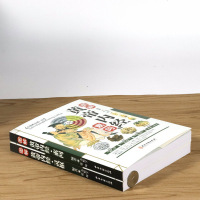 正版3折 全彩图解黄帝内经素问+灵枢2册中医经典作品医学书包括经络和针灸灵枢经校释素问注释本内经讲义黄帝外经全集白话