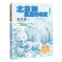 北极熊飘逝的母爱 美绘注音版 沈石溪著 动物直接沈石溪画本 一二年级小学生课外书阅读 7-10岁少儿动物故事书籍