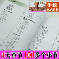 拉伸训练彩色图谱重点锻炼的身体部位起始姿势训练要点健美肌肉训练书体育运动员恢复体能训练设计指南运动健身书籍