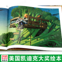 三只小猪 7号梦工厂 梦幻大飞行1999年6月29日 大卫·威斯纳套装4册凯美国迪克大奖绘本 3-6岁亲子读图画书