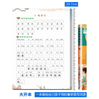 2020二年级下册语文看拼音写词语生字组词练字帖本课时同步训练辅导资料53天天练状元大七彩课堂阅读寒假作业理解布统部