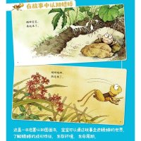 [任选4本48]中少阳光图书馆乐悠悠启蒙图画书系列——蟋蟀小谣曲0-4岁 幼儿启蒙认知图画故事书 亲子读 故事启蒙