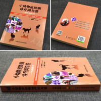 正版   小动物诊疗问与答 经典病例142 岩崎利郎 小动物宠物临床手术诊疗指南手册 兽医书籍大全 动物医学书籍 宠