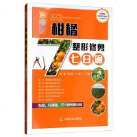 [正版]彩图版柑橘整形修剪七日通欧毅周蕊橘子树栽培种植技术病虫害诊断用药换盆整形修剪嫁接施肥疏枝疏果病虫害识别技术大