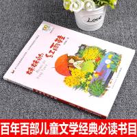 正版  妹妹的红雨鞋注音版二年级必读课外书带拼音小学生课外阅读书籍一年级适合下学期带拼音的故事书湖北少年儿童出版
