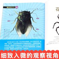 全10册 法布尔昆虫记正版小学生 青少版原著课外书阅读注音 套装 拼音读物儿童绘本故事书 周岁少儿6-8-9-12岁