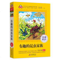 有趣的昆虫家族 爱上阅读注音美绘本正版 一二三年级课外书必读小学生语文阅读课外读物6-12岁儿童昆虫图书金波主编