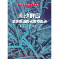 南沙群岛渚碧礁珊瑚礁生物图册 黄晖,杨剑辉,董志军 正版书籍 中国海洋出版社 医学其它科技综合 生活
