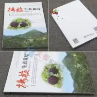 杨梅生态栽培杨梅栽培技术大全杨梅果树种植栽培技术书籍杨梅病虫害防治技术书种植书籍大全果树嫁接技术图解书果树嫁接书籍