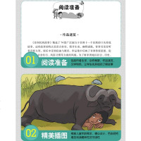 正版 非洲民间故事 小学生课外阅读书籍 三四五六年级必读经典书目 8-12-15岁青少年文学读物  故事书无障碍阅读