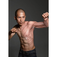 [肌肉解剖透视版]健身八段锦 图书(附教学视频)林胜杰(延胜)少林寺传人亲授 全套动作示范图+视频 传统气功拳法徒手