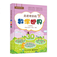 走进奇妙的数学世界(小学四年级)小学数学课程知识点展开的趣味数学阅读书激发孩子们对数学文化的求知欲书籍小学生数学课外