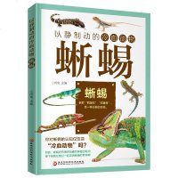 以静制动的冷血动物 蜥蜴 通俗易懂的蜥蜴图鉴大全 中小学生课外书青少年版动物百科全书 蜥蜴的种类与分布 科普书籍十万