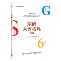 图解六西格玛 钻石版 6sigma项目管理 企业管理六西格玛思维导图详讲新手入教程 衡量尺度COPQ 公司人力资源