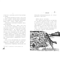 狼图腾小狼小狼黑 金典藏版 姜戎著 儿童读物7-14岁儿童文学动物小说中小学生五年级六年级书籍 深圳市罗湖区六年级上