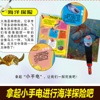 小手电大探秘系列书儿童手电筒图书海洋世界探揭秘海洋胶片书海底动物百科大全书6-12岁一年级课外阅读科学书籍  童书