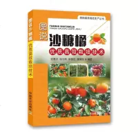 图说沙糖橘优质高效栽培技术柑橘砂糖橘果树种植技术书籍大全果树修剪与管理  砂糖橘沙糖桔栽培技术书柑橘橘子病虫害防治