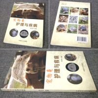   宠物龟护理与疾病宠物龟护理书宠物龟疾病防治龟病疾病防治诊治技术大全宠物龟喂养饲料教程宠物龟疾病预防书籍养乌龟的书