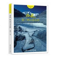 西藏 赴一场心灵之约 西藏游记旅行随笔 布达拉宫拉萨羊八井喜马拉雅雅鲁藏布大昭寺等热景点攻略西藏自助游书籍SY