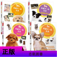 [4本套]和爱犬一起生活:吉娃娃+边境牧羊犬+贵宾犬+金毛犬 养狗书籍训练狗狗的教程书狗狗书籍大全养狗训狗实用新技术