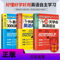 正版全3册28天学会英语语法+看图学会3000英语单词+快速记忆英语单词口袋书 英语入自学零基础教程教材 零基础学