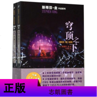 穹顶之下 上下 套装2册精装新版 斯蒂芬金作品 结尾与电视剧不同 恐怖悬疑小说外国 文学小说书籍穹顶之下人性的思考