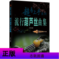 正版 2册 葫芦丝流行经典歌曲集:民族器乐曲集系列丛书/流行葫芦丝曲集 葫芦丝简谱乐谱书教程 演奏曲目零基础初学入