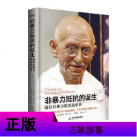 正版 非暴力抵抗的诞生:南非非暴力抵抗运动史 非洲历史知识读物 非洲史 非洲历史科普知识阅读书籍 博瑞森