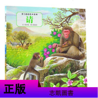 正版 爱与感恩绘本系列 谢谢你/对不起/我爱你/请 4册 宝宝成长教育情商启蒙认知绘本漫画 亲子家教 幼儿成长教