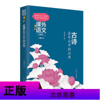 正版 课外语文应用系列6册 古诗/名人名言/宋词/唐诗/文言文/现代诗歌在作文中的应用 课外作文指导 中学教辅书