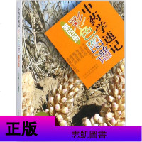 正版 中药学速记彩色图谱4册 中医药专业学生普通家庭中医药爱好者医务工作者收藏阅读书籍 中医药识药用药指导书 山